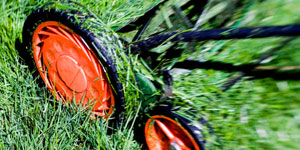 reel mower cutting