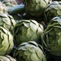 How To Grow Artichokes