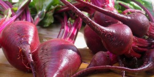 how to grow beets