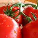 How To Grow Tomatoes